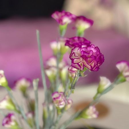 Aparthotel Maxim Котор Экстерьер фото